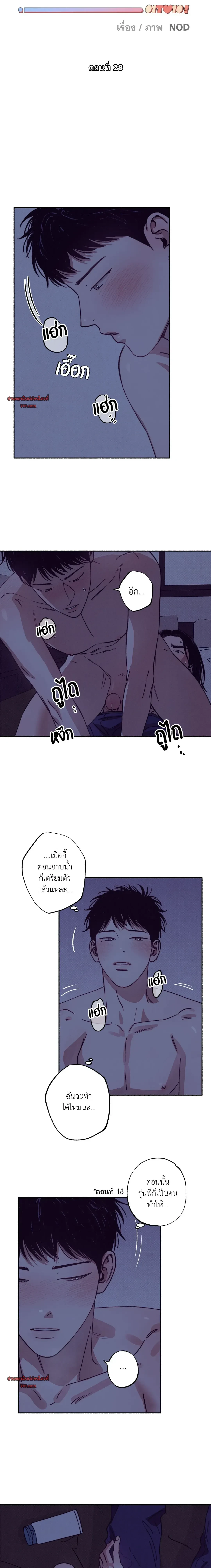 ภาพที่ 3