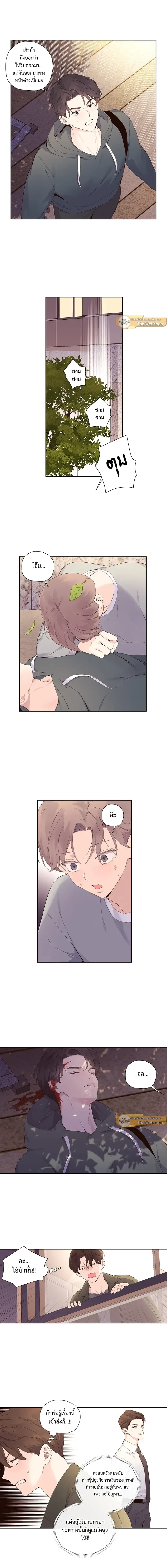 ภาพที่ 3
