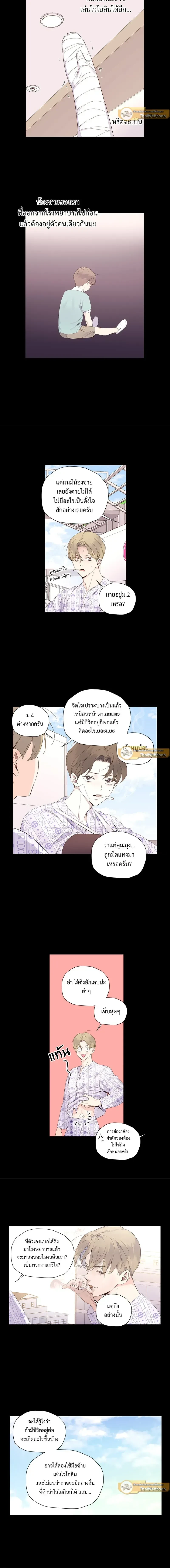 ภาพที่ 2