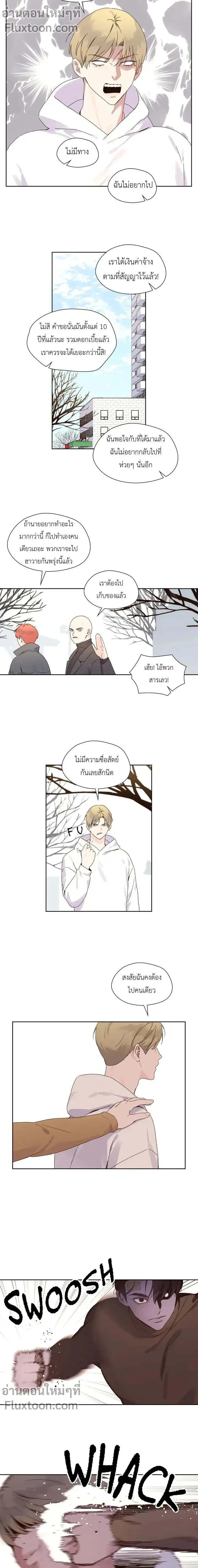 ภาพที่ 3