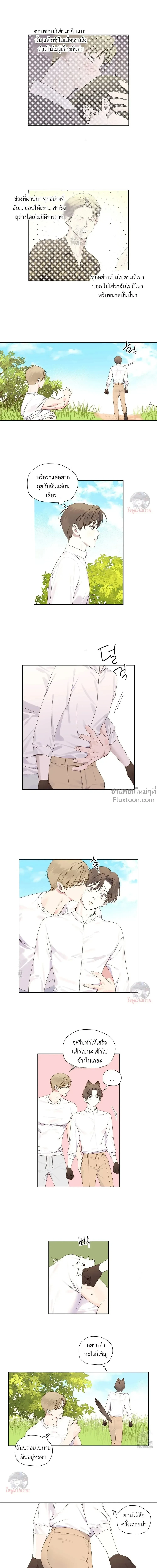 ภาพที่ 4
