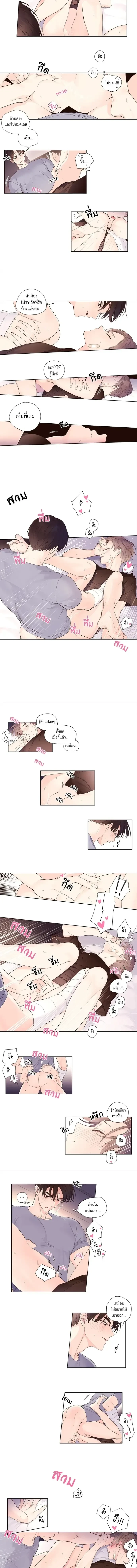ภาพที่ 3