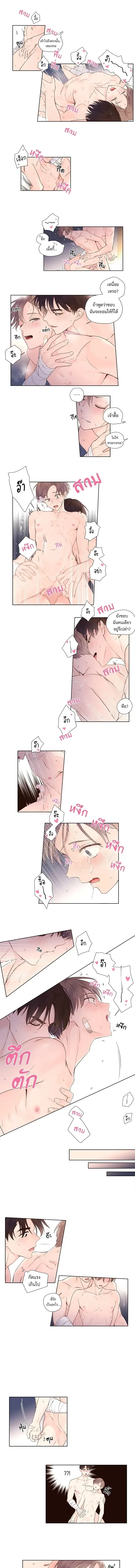 ภาพที่ 3