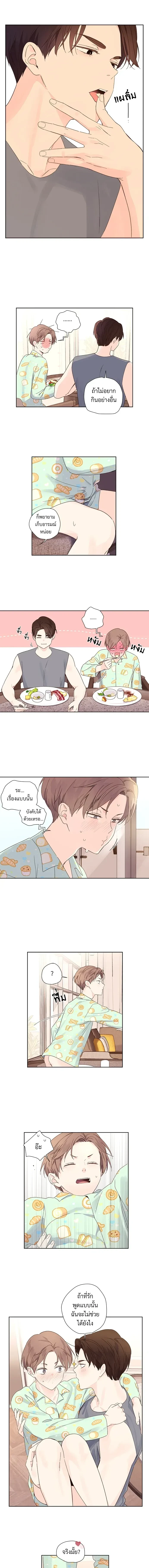 ภาพที่ 3