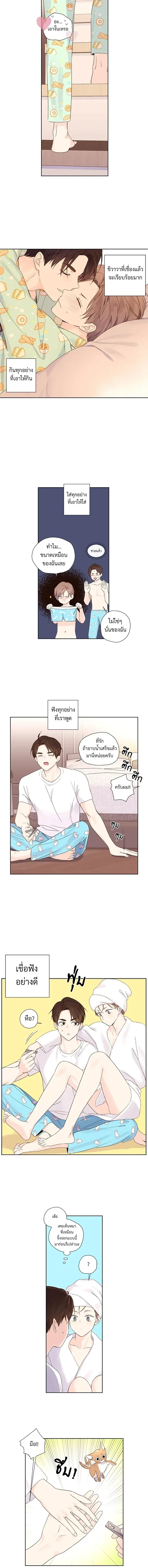 ภาพที่ 4