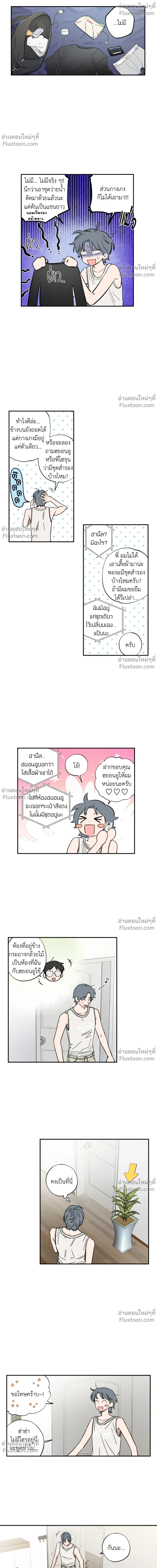ภาพที่ 4