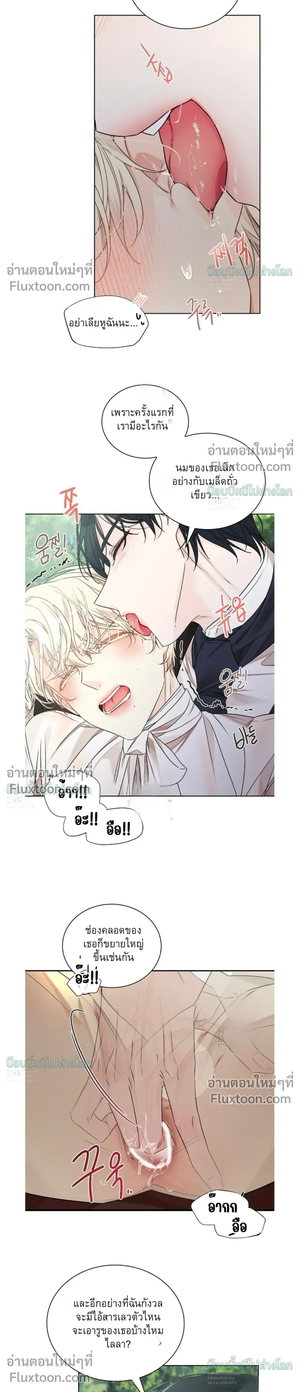 ภาพที่ 4