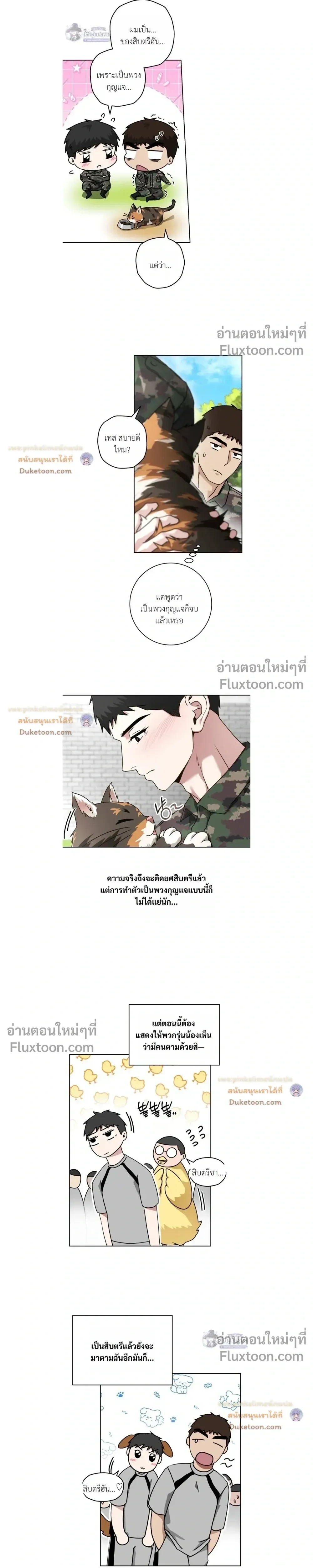 ภาพที่ 4