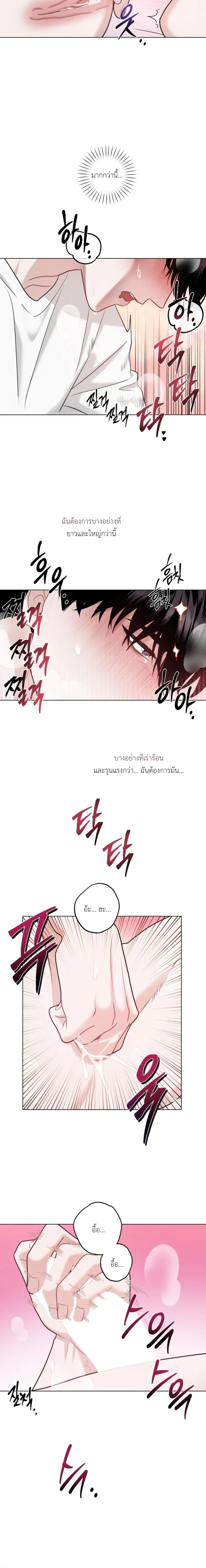 ภาพที่ 4