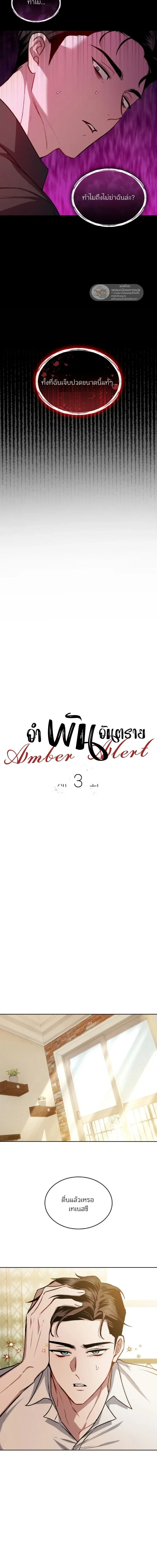ภาพที่ 3