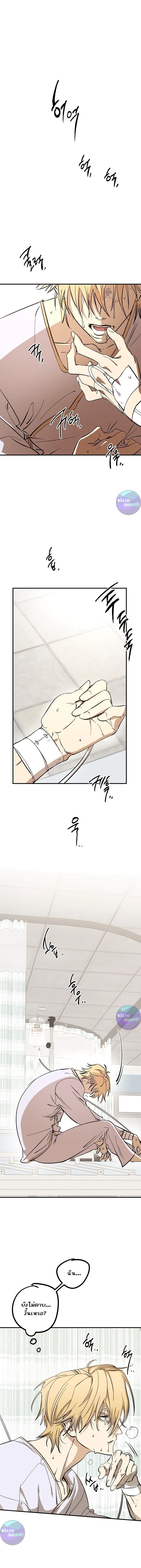 ภาพที่ 1