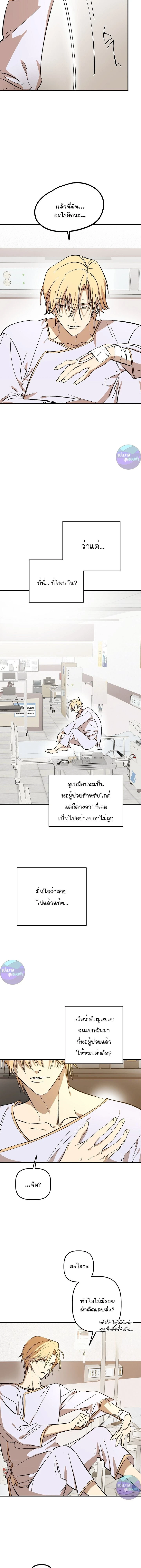 ภาพที่ 3