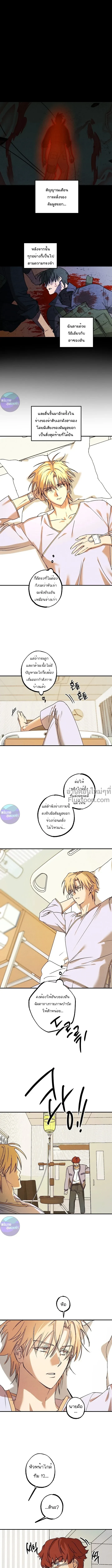 ภาพที่ 2