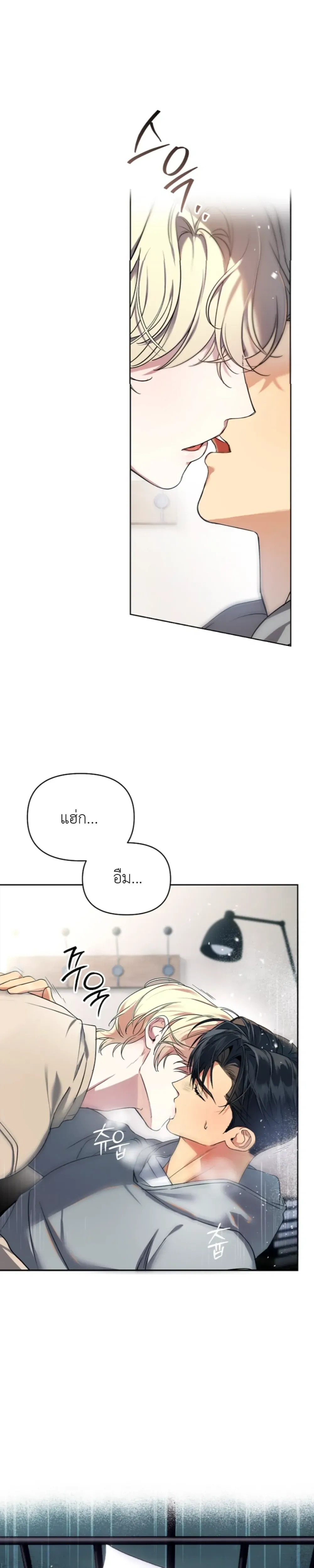ภาพที่ 1