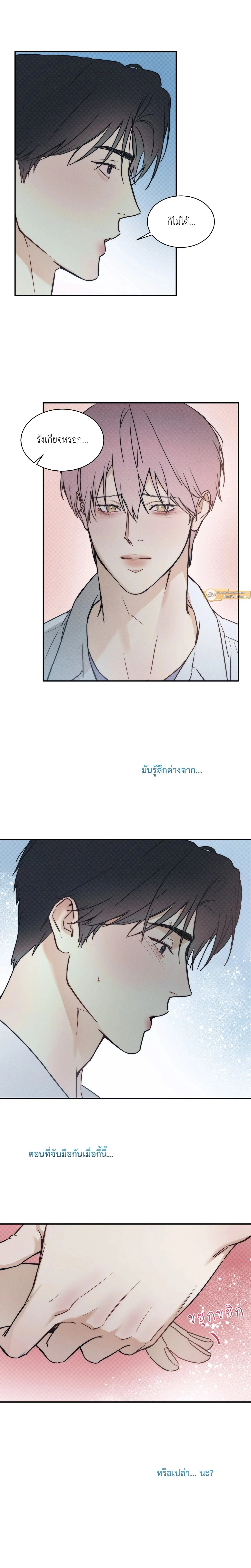 ภาพที่ 3
