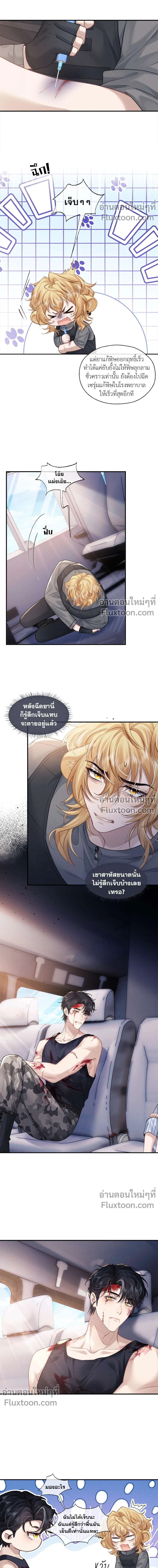 ภาพที่ 4