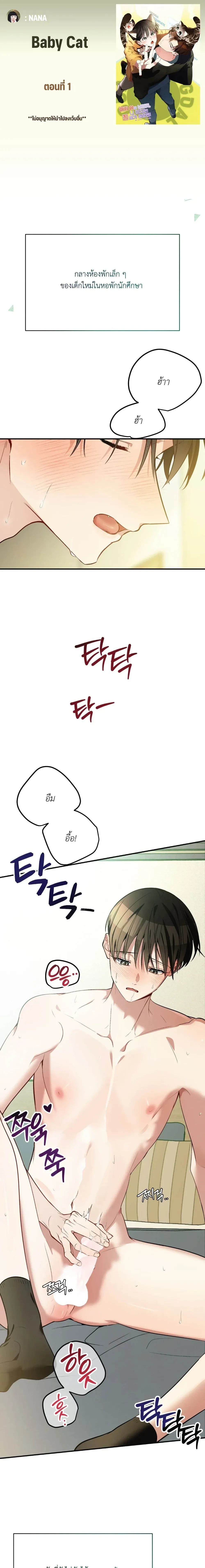 ภาพที่ 1