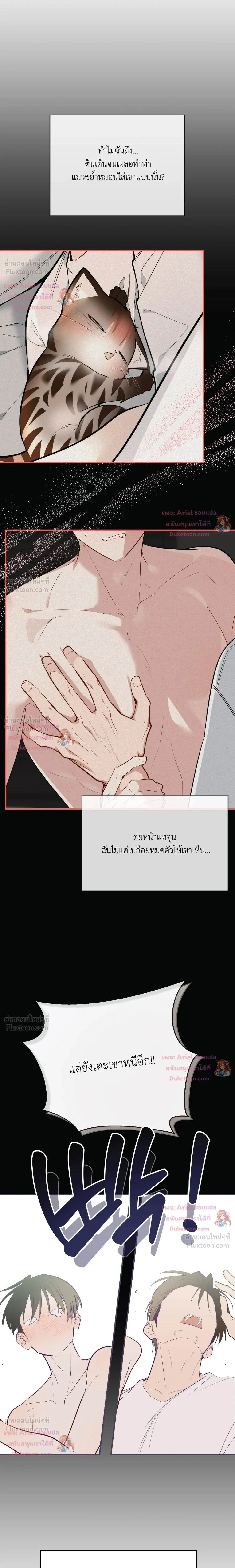 ภาพที่ 3