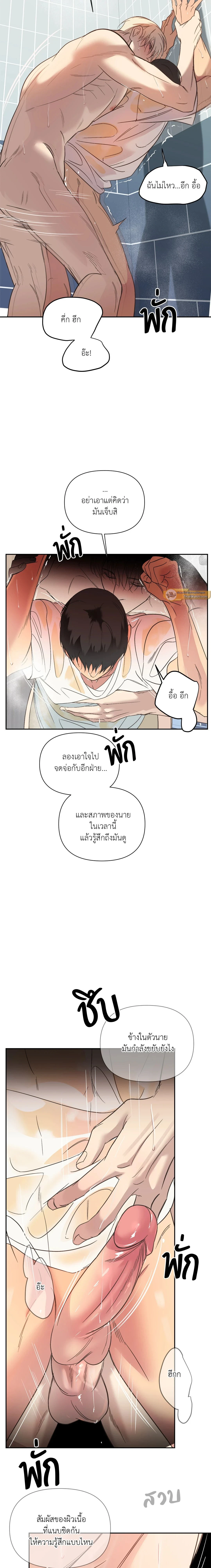 ภาพที่ 3
