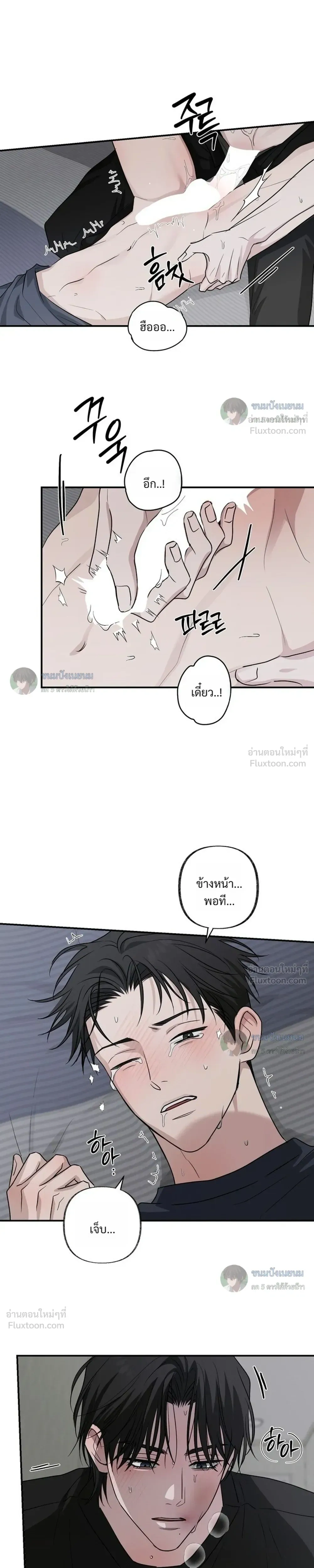 ภาพที่ 3