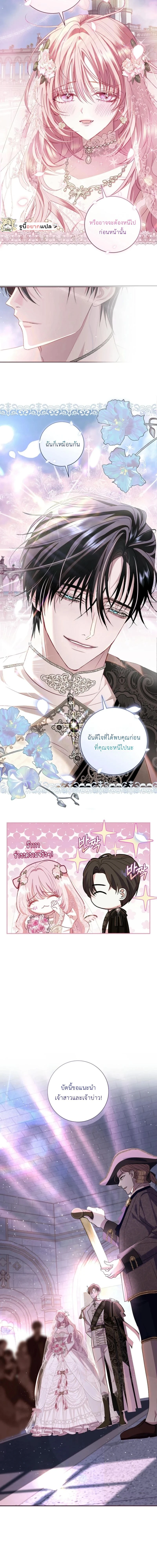 ภาพที่ 4