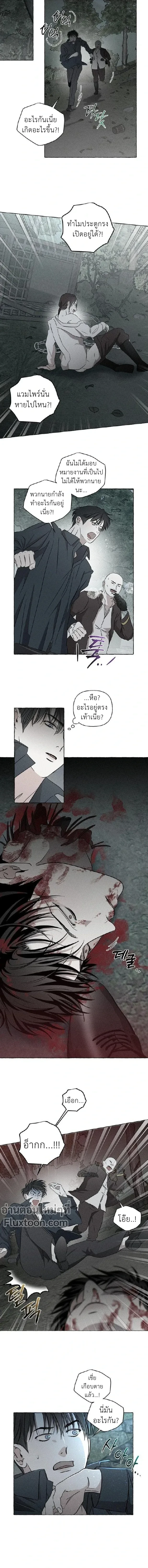 ภาพที่ 4