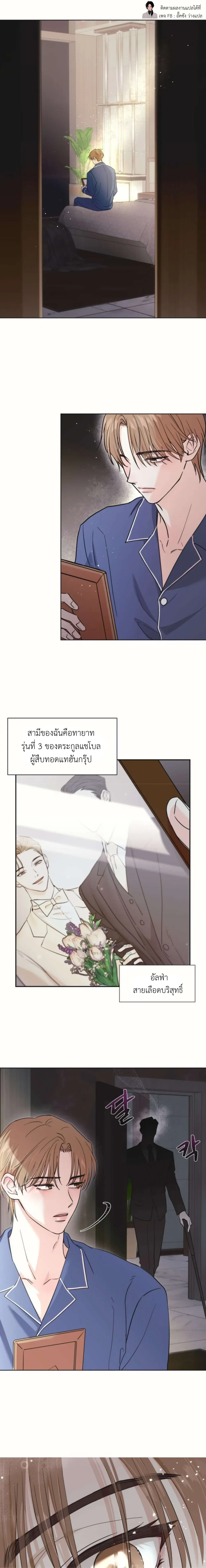 ภาพที่ 1