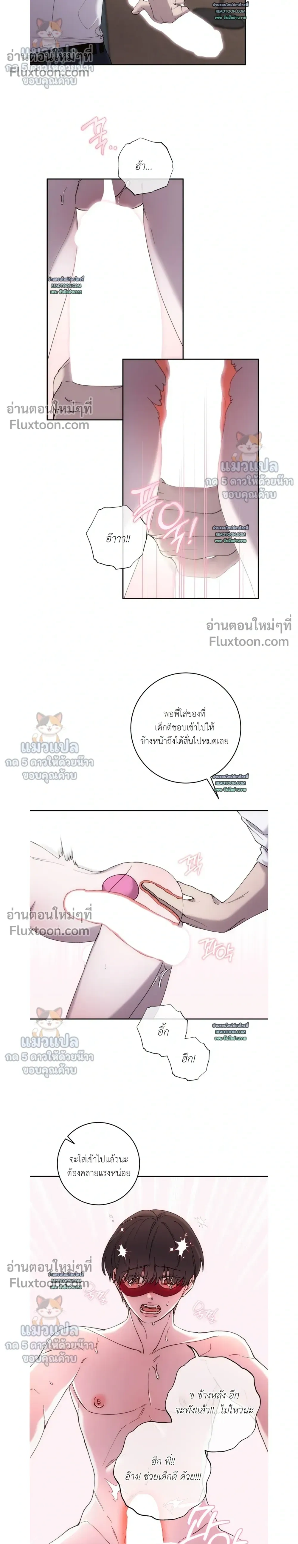 ภาพที่ 4