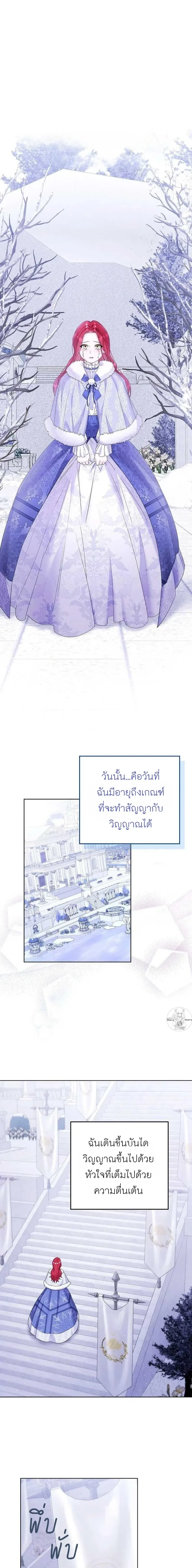 ภาพที่ 1