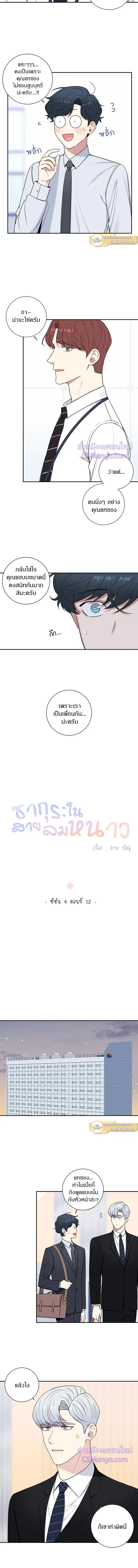 ภาพที่ 3