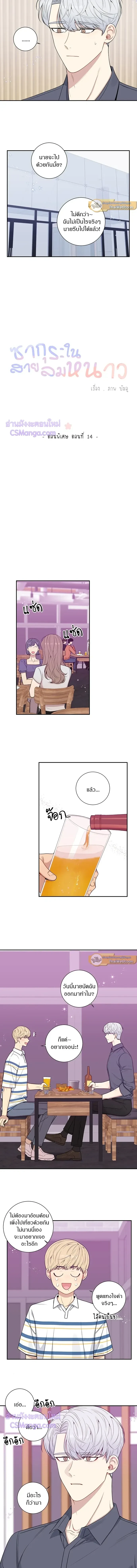 ภาพที่ 3