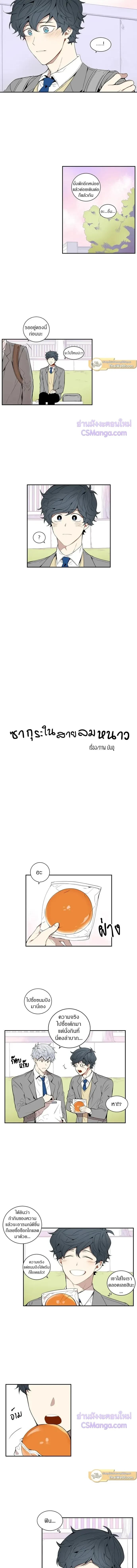 ภาพที่ 3
