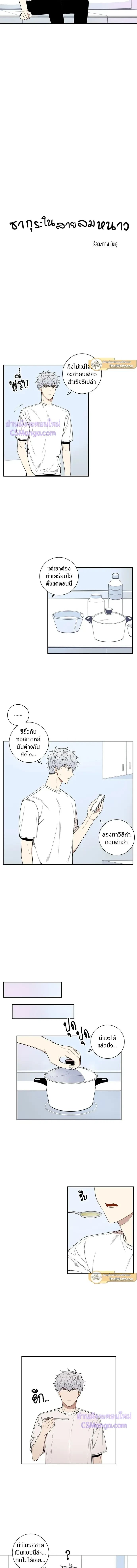 ภาพที่ 3