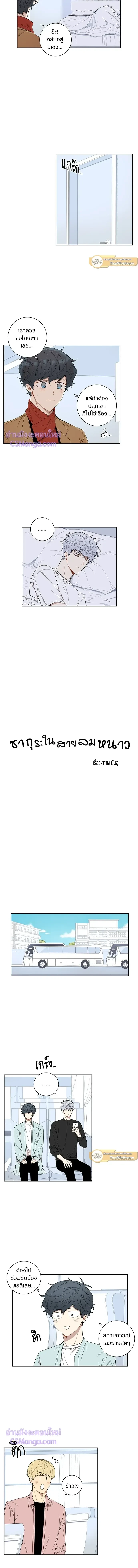 ภาพที่ 3