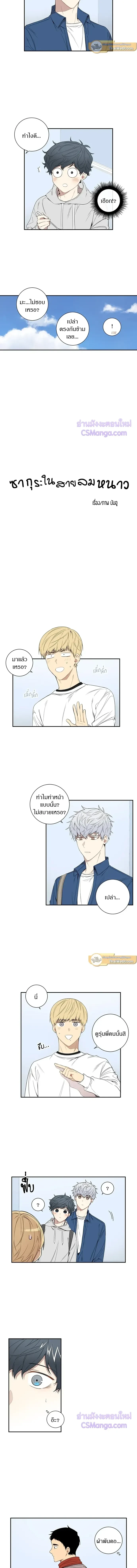 ภาพที่ 3