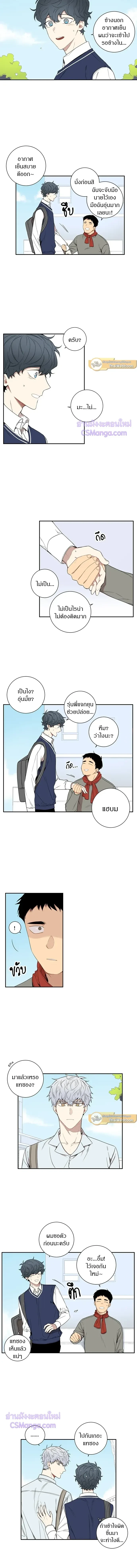 ภาพที่ 3