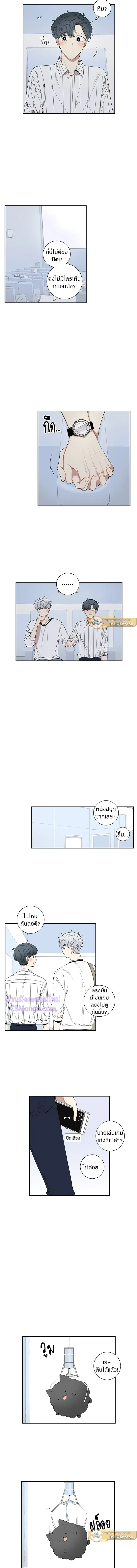 ภาพที่ 4
