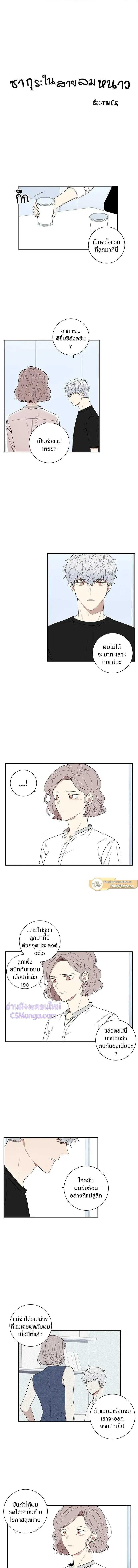 ภาพที่ 2