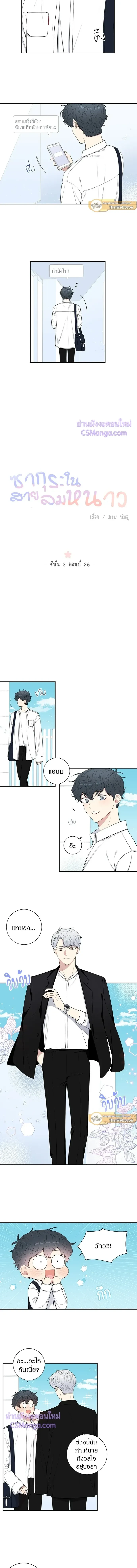 ภาพที่ 3
