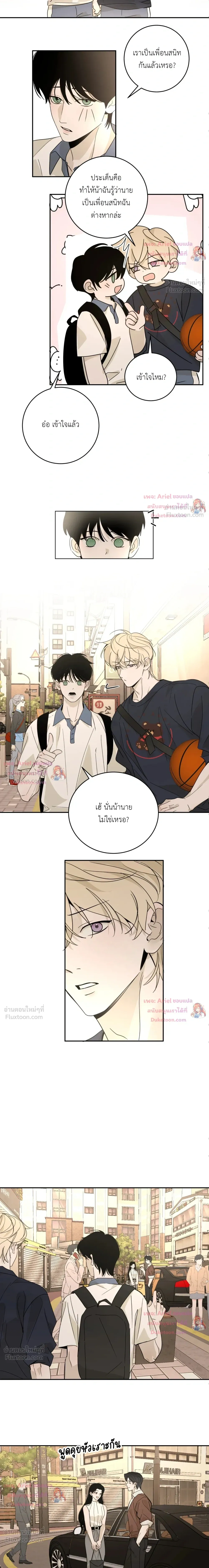 ภาพที่ 3