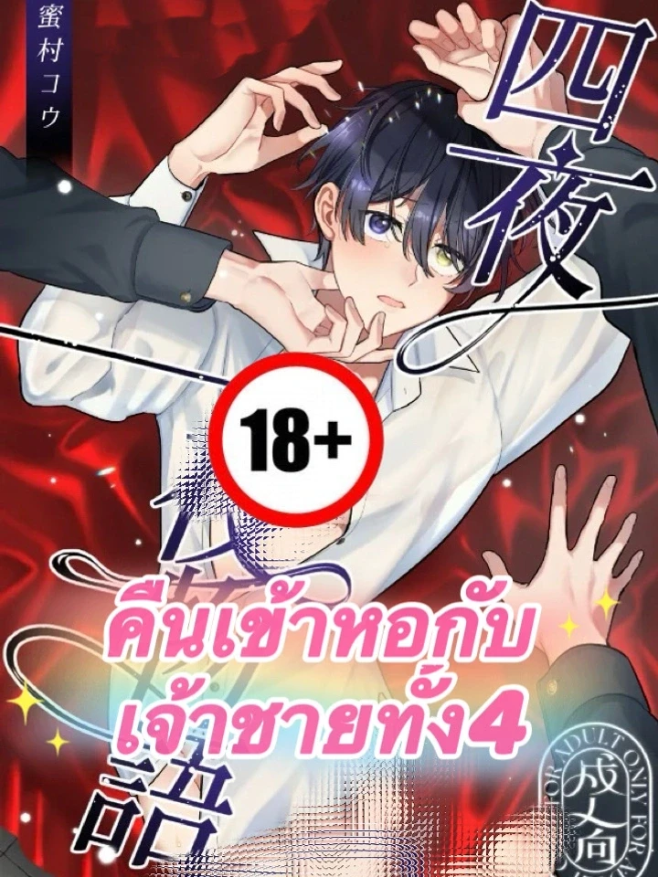คืนเข้าหอกับเจ้าชายทั้ง 4