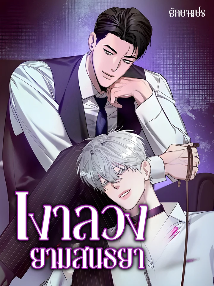 เงาลวงยามสนธยา