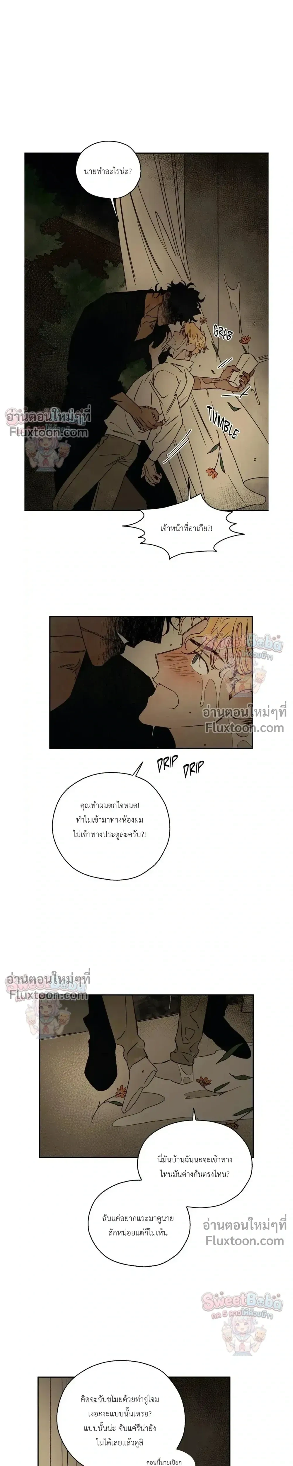 ภาพที่ 3