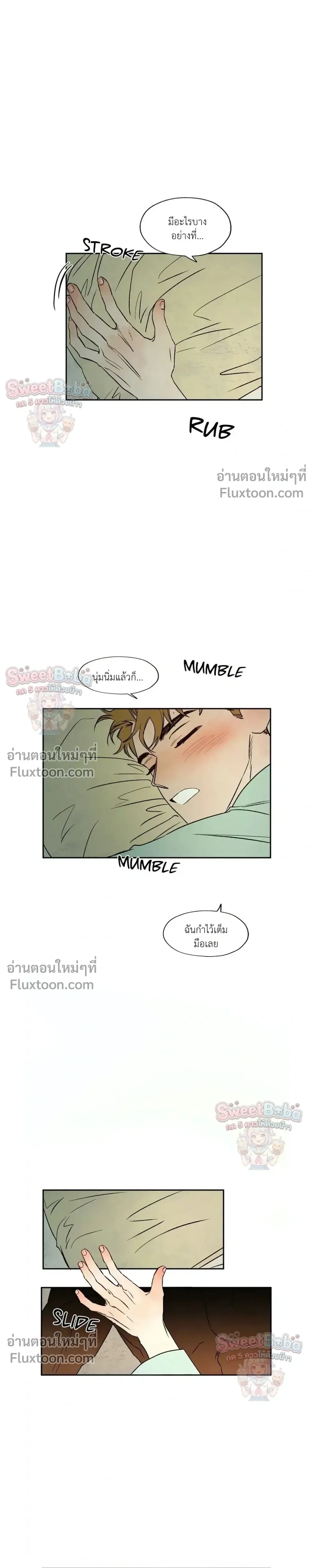 ภาพที่ 3