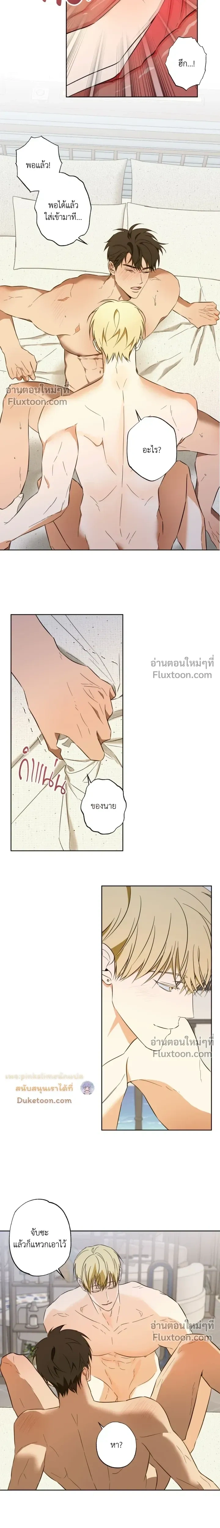 ภาพที่ 4