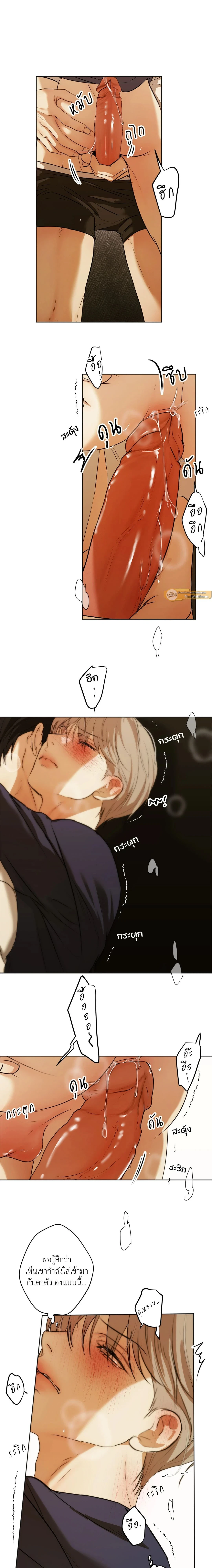ภาพที่ 3