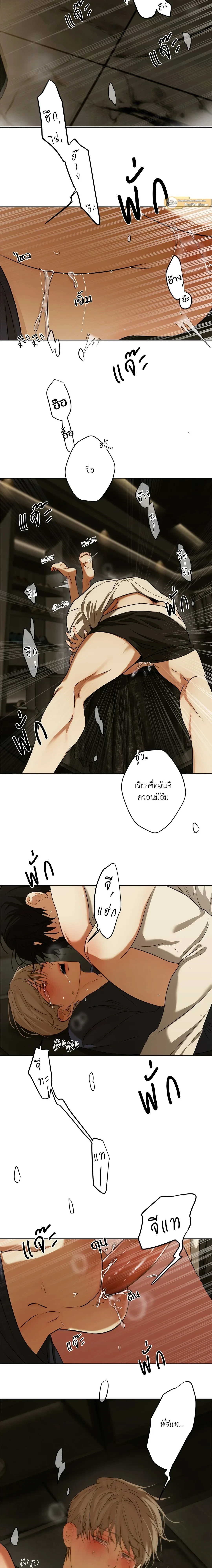 ภาพที่ 4