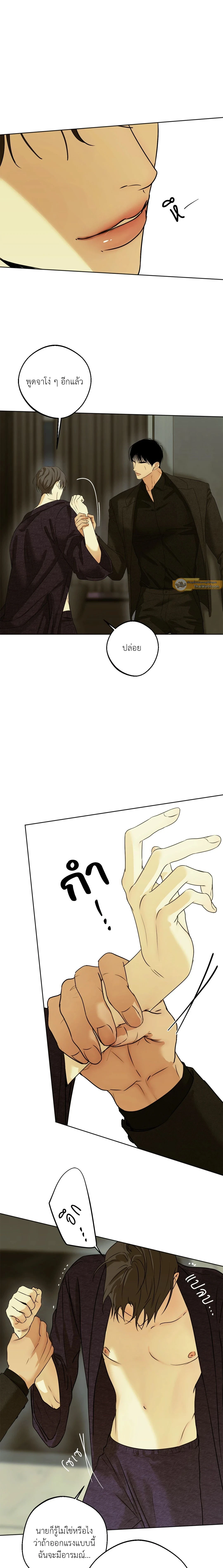 ภาพที่ 3