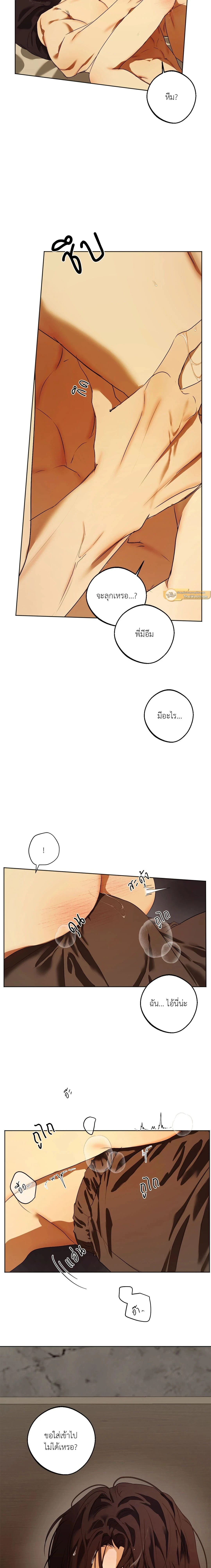 ภาพที่ 3