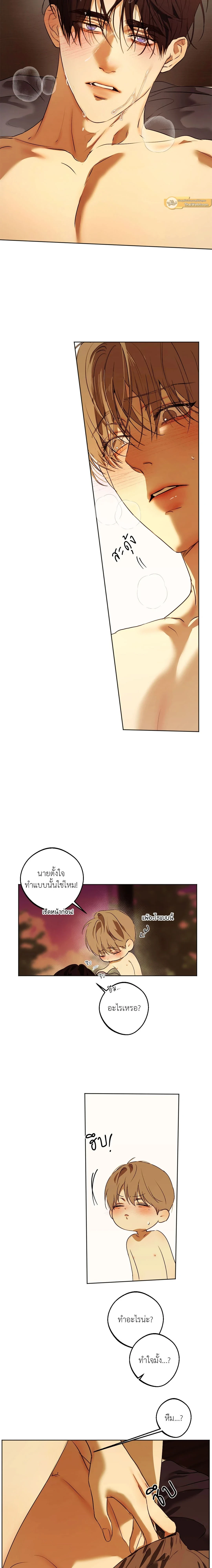 ภาพที่ 4